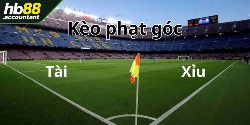 Đặt cược phạt góc chẵn lẻ chuẩn xác