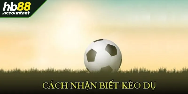 Một số chú ý quan trọng để tránh khỏi kèo dụ