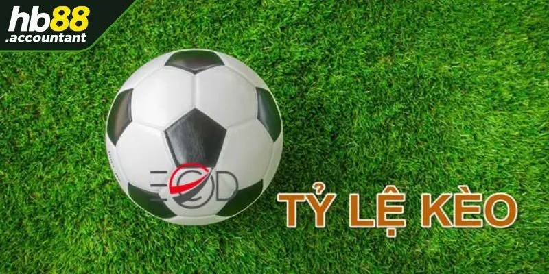 Nghiên cứu thống kê và thông tin bên lề để cược hiệu quả