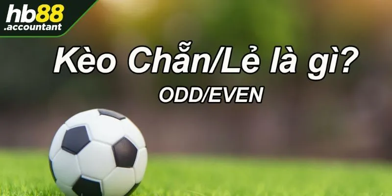 Những hiểu biết cơ bản về kèo chẵn lẻ HB88
