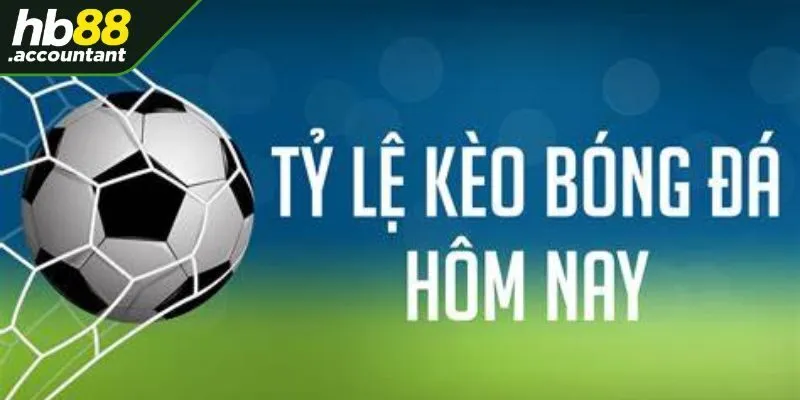 Tổng quan về tỷ lệ kèo HB88
