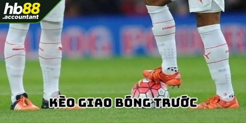 Tổng quát thông tin về kèo giao bóng HB88